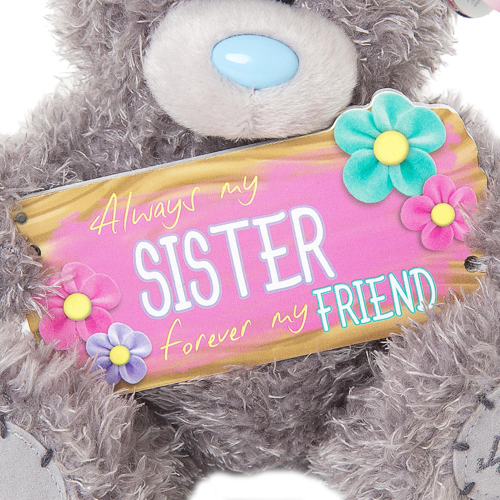 7" Amazing Sister Plaque Me to You Bear Extra Image 3